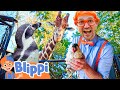 Learning animals for kids with blippi  zoo  jungle adventures  educationals for children