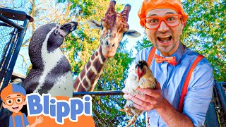 Learning Animals For Kids with Blippi! | Zoo \& Jungle Adventures | Educational Videos For Children