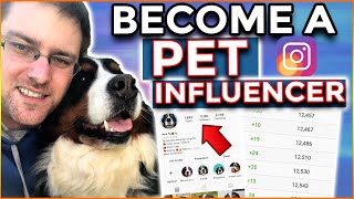 How To Become a Pet Influencer on Instagram  Grow A Pet Instagram Account!
