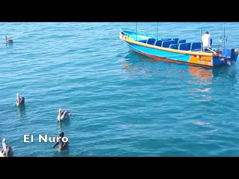 A Video Tour of Mancora, Peru