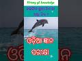 ଡଲଫିନ ଛୁଆ ଦିଏ ନା ଅଣ୍ଡା ଦିଏ ? #ytshorts #odia general knowledge #odia gk quiz#odia gk video#odisha gk