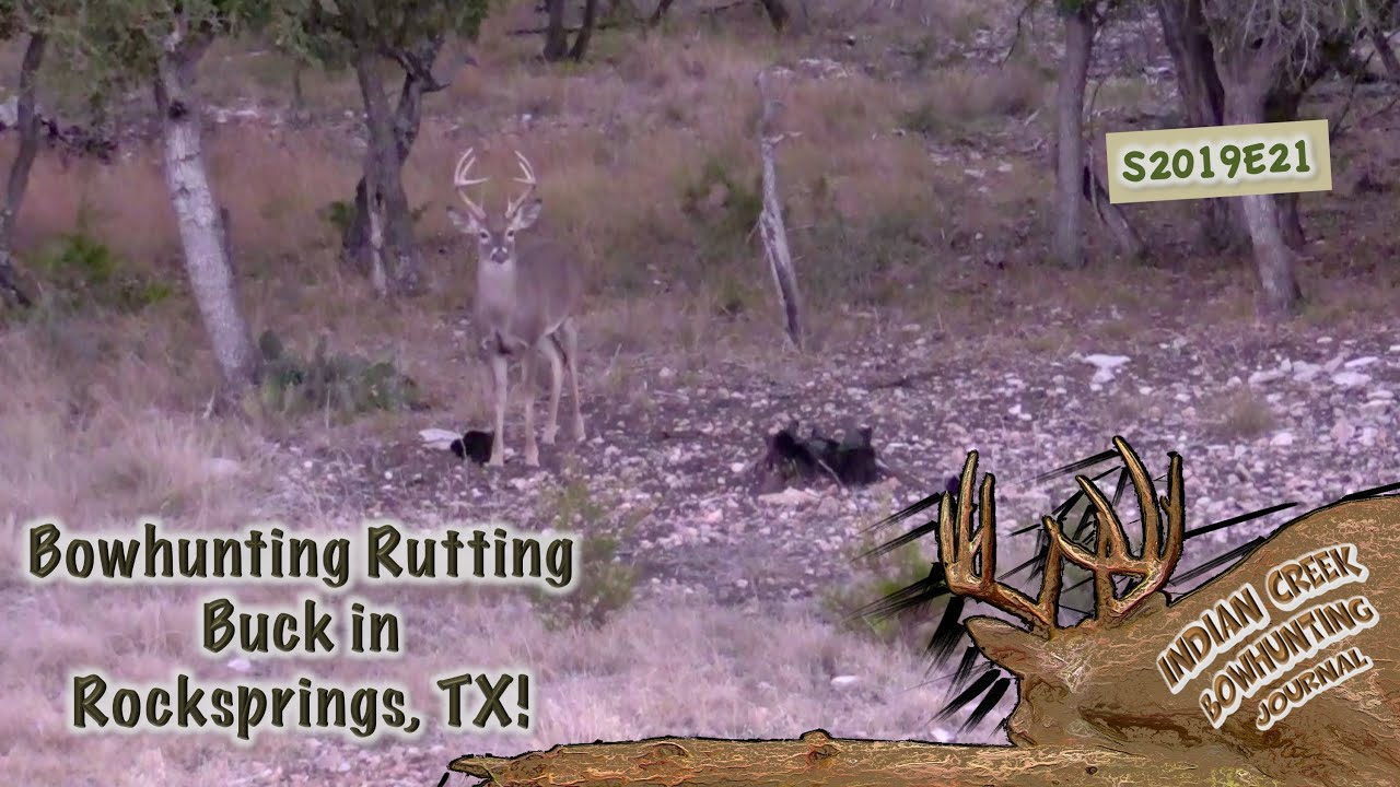 Bowhunting Rutting Big Buck Edwards County, Rocksprings TX, ICBJ S2019E21 YouTube