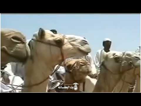 قبيله الشكريه 