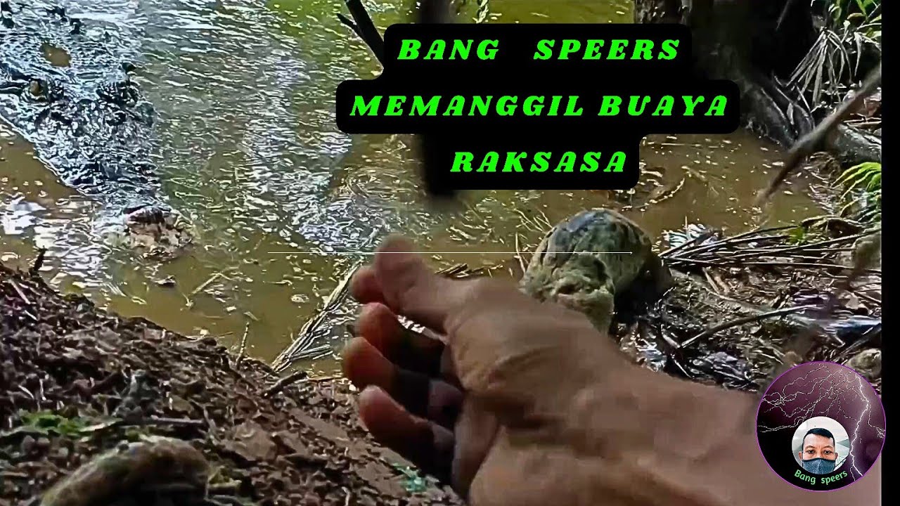 BANG SPEERS MEMANGGIL BUAYA RAKSASA
