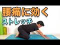 【腰痛に効く!ストレッチ】腰痛で硬くなりやすい関節や筋肉をほぐして改善!