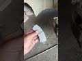 Tata tiego barke paid change #mechanic #viralvideo #shortvideo