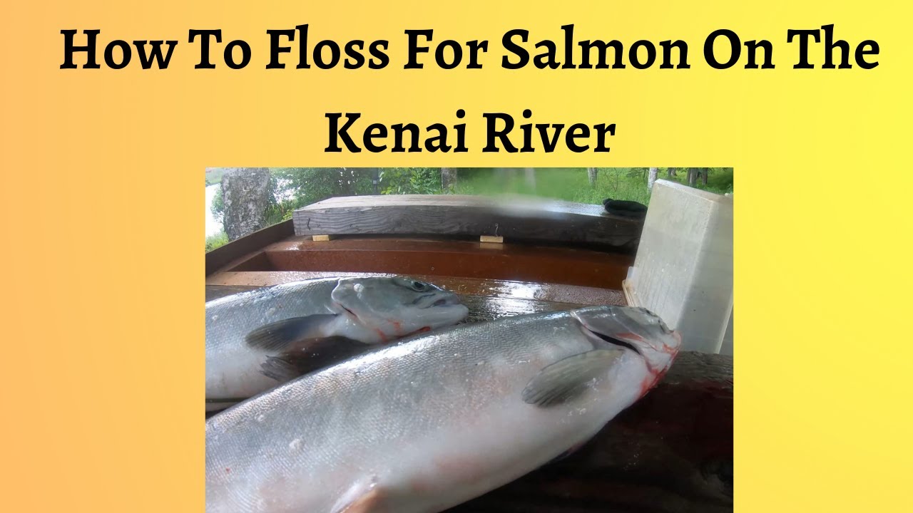 How To Floss For Salmon - Wild West Trail