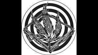 Vandal & Charm - Don't Forget Your Roots (Billx & Floxytek Remix) (Set Cut) 320kbps (unreleased)
