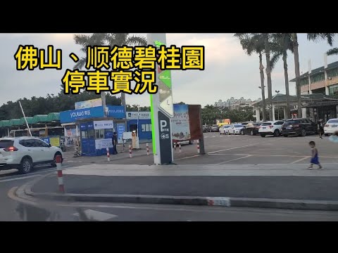[羅船長大灣區VBlog] |佛山顺德碧桂园停車實況