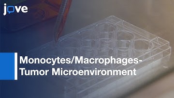 Conditional Knockdown: Gene Expression In Cancer Cell Lines-Preview