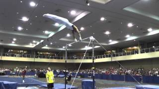 Stacey Ervin - High Bar - 2014 Winter Cup Challenge Finals