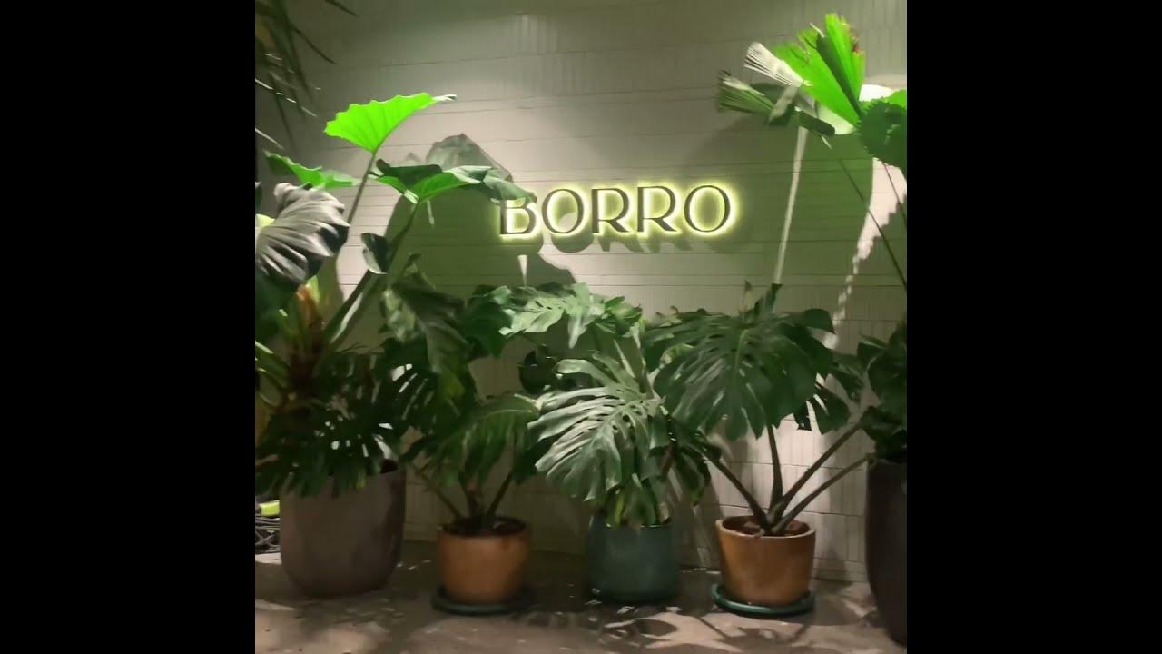 Double Standard Restaurant San Antonio