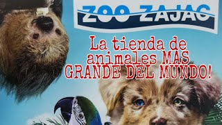 ZOO ZAJAC la tienda de animales mas grande del mundo!!!