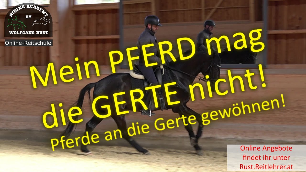 F96 Pferd mit Angst vor der Gerte beim Reiten. So gewöhnst du dein Pferd beim Reiten an die Gerte.