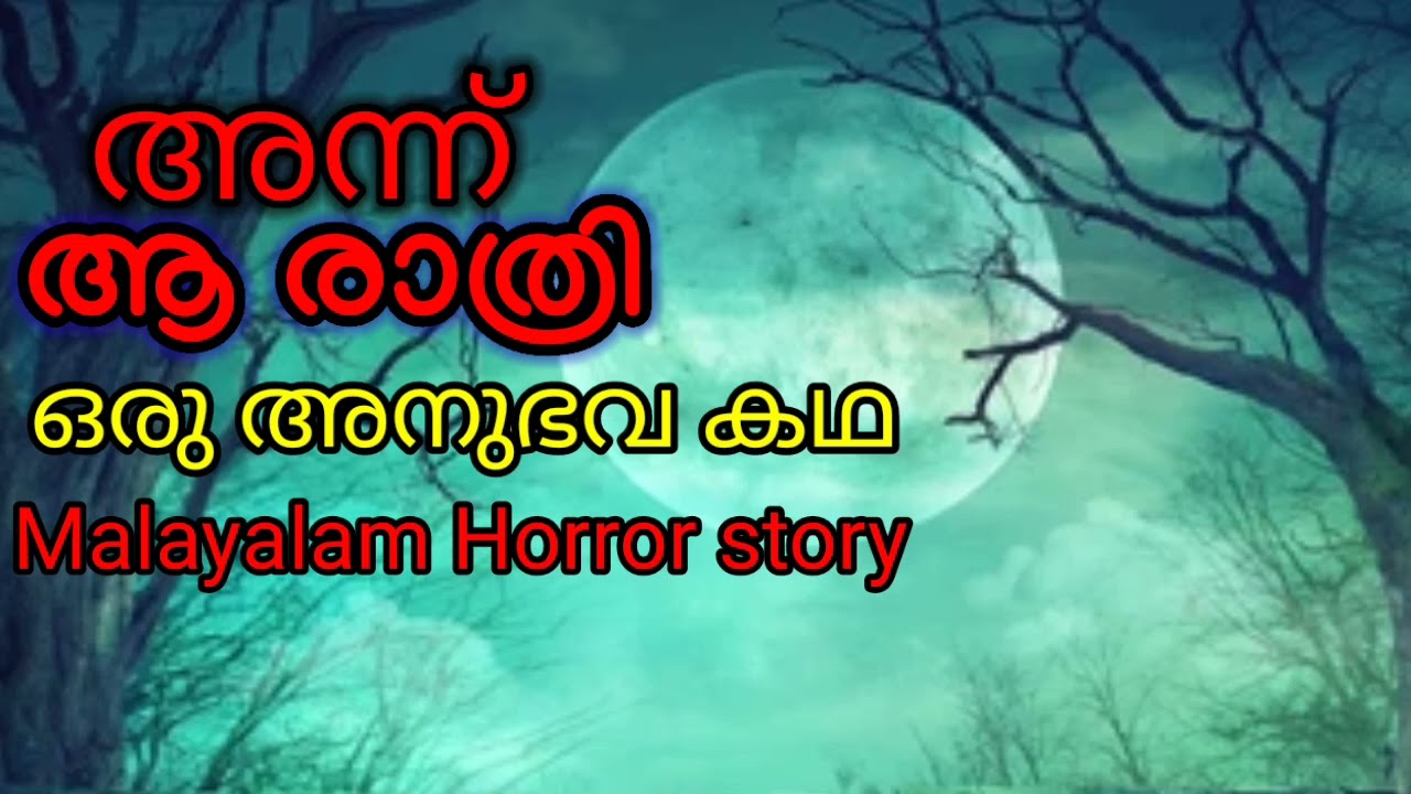 അന്ന് ആ രാത്രി :ഒരു അനുഭവകഥ Malayalam Horror story  sleep time Story