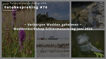 Photo Discussion #76 ~ Hidden Wadden Sea Secrets ~ Wadden Sea Workshop Schiermonnikoog June 2025