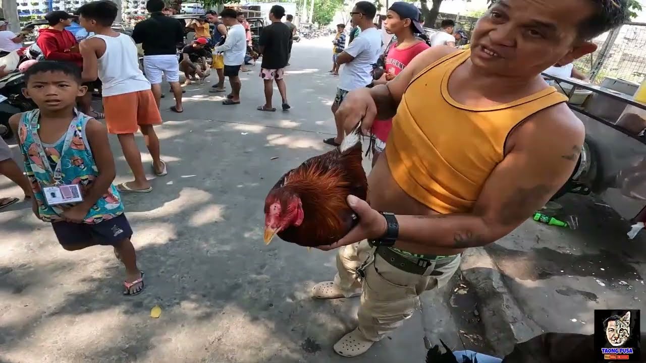 ANGELES PAMPANGA PET MARKET | TIANGGE NG MGA GAMEFOWL CHICKEN NA SOBRANG MURA 600 LANG! vlog#14