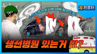 [해리포터 기자단] 수산질병관리사를 소개합니다!