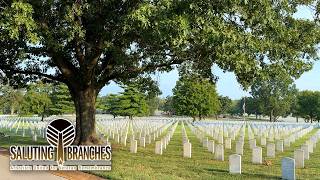 Taking Down a Pin Oak for Veterans | Saluting Branches 2026 ft. @ryanlawnandtree