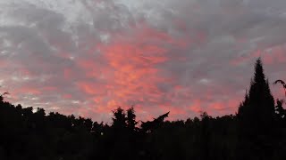 Природа и жизнь. А в декабре ...   Рассветы закаты дикие животные и звери