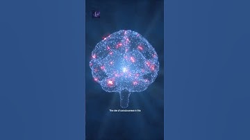 Could reality be a simulation?