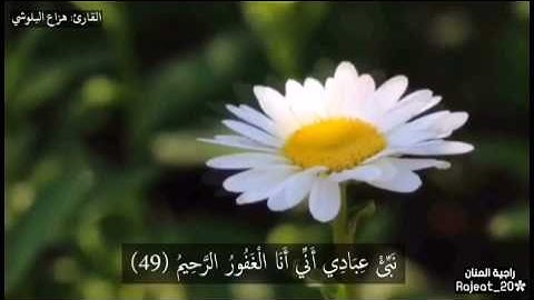 نبئ عبادي أني أنا الغفور الرحيم - تلاوة خاشعة هزاع البلوشي