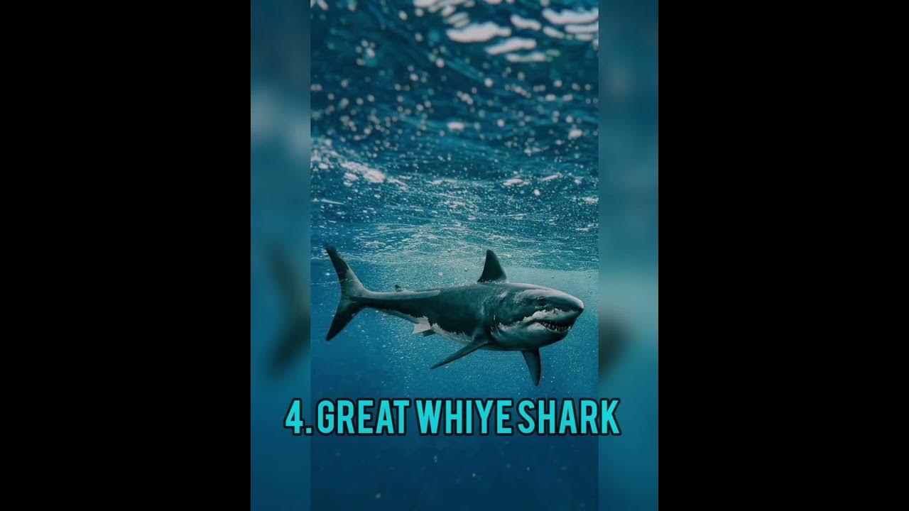 Top 5 Most Dangerous Aquatic Animals In The World 🔥🔥 #shorts #viral