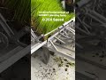 HOW DOES RICE TRANSPLANTER WORKS Agriculture Farmer Machine Paddy