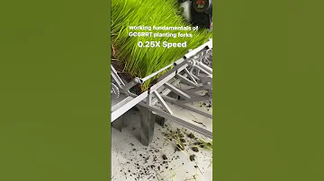 HOW DOES RICE TRANSPLANTER WORKS Agriculture Farmer Machine Paddy 