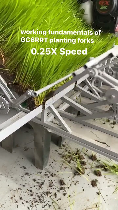 HOW DOES RICE TRANSPLANTER WORKS #agriculture #farmer #machine #paddy
