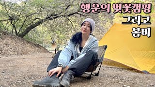 Lucky Cherry Blossom Camping / Spring Camping / Solo Camping / Rainy Camping / Camping Cooking