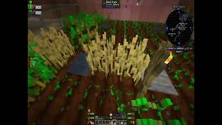 Celebrity Minecraft Java 05 27 2024 13 24 34 229 Profile
