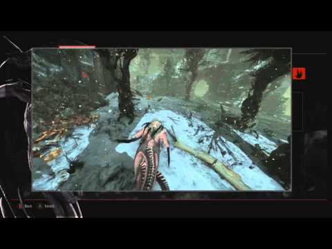 Evolve: Wraith Basic and Advanced Tutorials