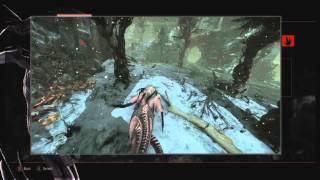 Evolve: Wraith Basic and Advanced Tutorials