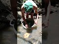 panning for gold in a rocky river #shorts