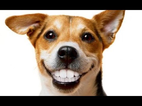 Wet Willie - Keep On Smilin' - 1974 - Rockmaster Videos 2012