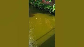 بحلم كفى عمرى حدة شو بحكى عن حمرة خدة 