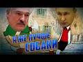 🔥Соловйов зробив СЕНСАЦІЙНЕ ЗІЗНАННЯ - Ізраїль в ШОЦІ, чоловік Скабєєвої ВИПАДКОВО договорився