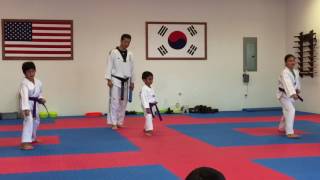 Taekwondo-low, inside/middle & high block - 1 of 6