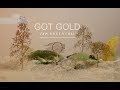 Tom Rosenthal - Got Gold (Official Lyric Video)