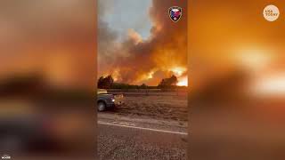 Texas wildfire seen in raw footage: Ross Fires flames rage through Palo Pinto County