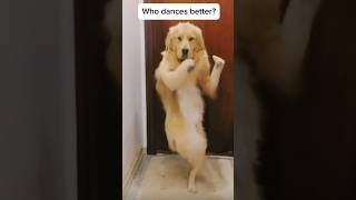 Hai hai hai who the best dancer? Bibi fogosa remix #automotivo