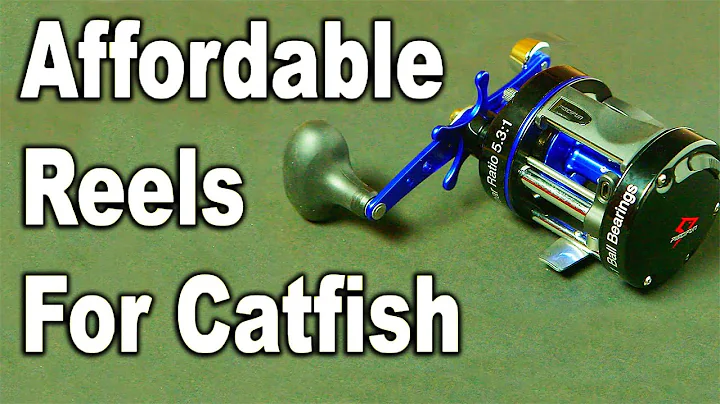 Catfish Reel Review - Best Catfish Reels Under $50 - Affordable Reel for Catfish - Piscifun Reels