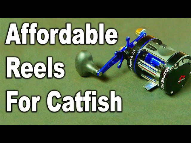 Catfish Reel Review - Best Catfish Reels Under $50 - Affordable Reel for  Catfish - Piscifun Reels 