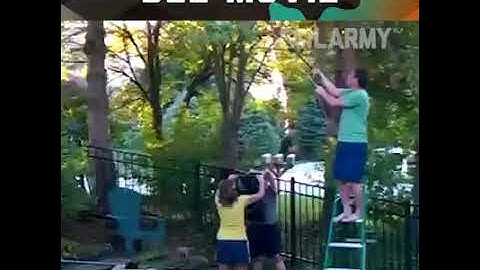 Bee attack | funny peoples