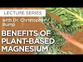 Magnificent Magnesium: The Benefits of Plant-based Magnesium