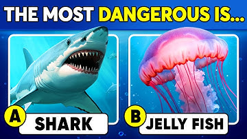 How Much Do You Know About Sea Animals? 🦈🪼🌊 General Knowledge Trivia Quiz