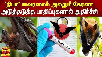 கேரளாவில் நான்காவது முறையாக நிபா பாதிப்பு கண்டுபிடிப்பு | Kerala | nipah virus