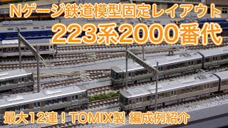 223系2000番代新快速【TOMIX】編成例紹介！Nゲージ鉄道模型固定