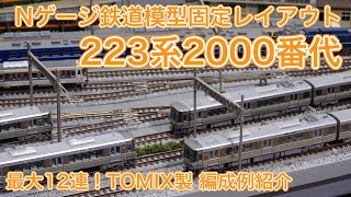 223系2000番代新快速【TOMIX】編成例紹介！Nゲージ鉄道模型固定レイアウト